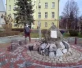 Zdjęcie z galerii