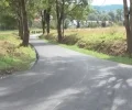 Zdjęcie z galerii